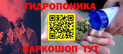 Альфа ПВП Кинель