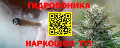 таблы Кингисепп