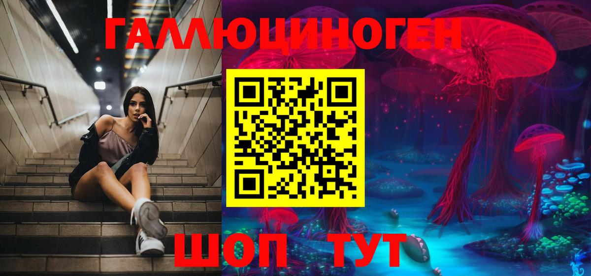Псилоцибиновые грибы мицелий Кимовск